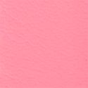 Victoria Pink Stripe Logo