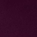 Party On Purple