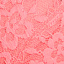 Tropical Coral