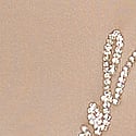 Almond Creme