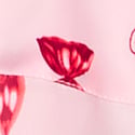 Angel Pink Candies