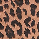 Fall Leopard