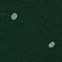 Velvet Pine Dots