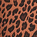 Fall Leopard