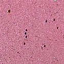 Moonstone Pink Confetti