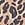 Print Logo Cotton Hiphugger Panty