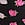 Floral Stretch Cotton Hiphugger Panty