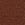 Brown Body by Victoria Flex Mid-Rise Thong Panty