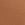 Beige Body by Victoria Flex Mid-Rise Modern Brief Panty
