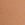 Beige Body by Victoria Flex Mid-Rise Thong Panty