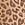 Print Cotton High-Leg Thong Panty
