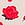 Floral No-Show Hiphugger Panty