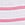 Print PINK Wink™ Lace-Trim Thong Panty in Lace Trim