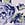 Floral Cotton Lace-Waist Cheeky Panty