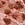 Print Lace Cheeky Panty in Crochet Lace