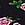 Floral No-Show Cheeky Panty