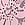 Pink PINK Wink™ Thong Panty in Fall Florals Embroidered