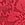 Print PINK Wink™ Lace-Trim Thong Panty