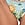 Print Alegria Bikini Bottom