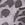 Print VSX ActiveFlex Run Short