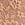 Orange Lace Brief Panty in Lace