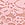Pink PINK Wink™ Cheeky Panty in Hibiscus Embroidery