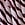 Print GRWPINK™ Flutter Tanga Panty