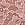Pink Contrast-Trim Lace Boyshort Panty