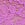 Purple Contrast-Trim Lace Boyshort Panty