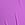 Purple Harlow Halter Push-Up Bikini Top