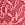 Pink Lace Brief Panty in Lace