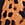 Print Ruched Itsy Bikini Bottom