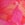 Floral GRWPINK™ Flutter Triangle Bralette