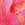 Floral GRWPINK™ Flutter Tanga Panty