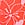 Print Seamless Brazilian Panty