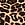 Print Stretch Cotton High-Leg Brief Panty