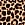 Print Stretch Cotton V-String Panty