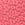 Pink No-Show Leopard Lace Thong Panty in Leo Lace