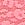 Pink No-Show Leopard Lace High-Waist Thong Panty