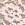 Multicolored Lace Cheeky Panty