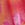 Floral PINK Wink™ Ruﬄe Cheeky Panty