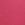 Pink Logo Cotton Lace Patch Thong Panty