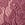 Pink Wicked Unlined Lace Mesh-Trim Balconette Bra