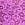 Purple Tease Lace Cupped Bodysuit