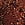 Print Hammered Hardware Brazilian Bikini Bottom