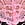 Print PINK Wink™ Lace-Trim Thong Panty