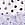 Print 5-Pack Lacie Thong Panties