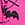 Pink PINK Wink™ Push-Up Balconette Bra