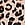 Print No-Show Cheeky Panty