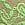 Green Lace Ultra-Mini Scoop Thong Panty